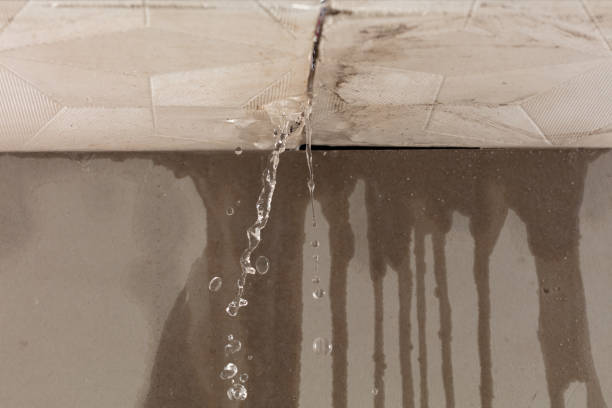 Professional Flood Damage Cleanup technician working in Waynesfield, OH